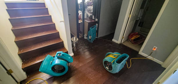 Best Ceiling water damage repair  in Temelec, CA