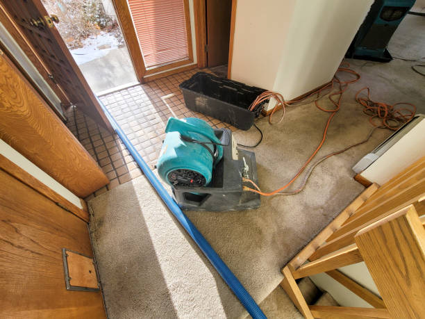 Best Emergency water damage restoration  in Temelec, CA