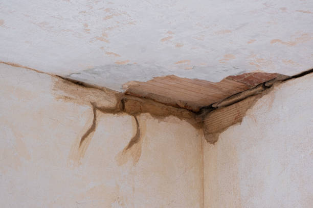 Best Professional water damage repair  in Temelec, CA