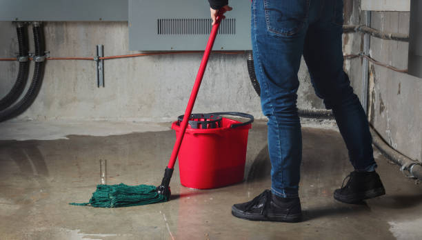 Best Emergency water extraction  in Temelec, CA