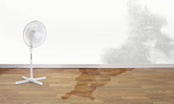  Temelec, CA Water damage restoration Pros