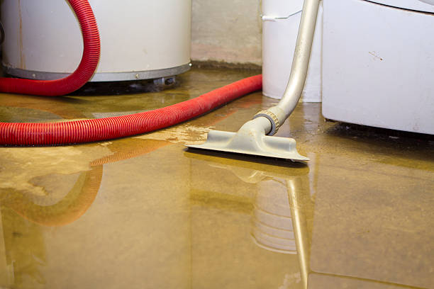 Best Sewage cleanup and water damage restoration  in Temelec, CA