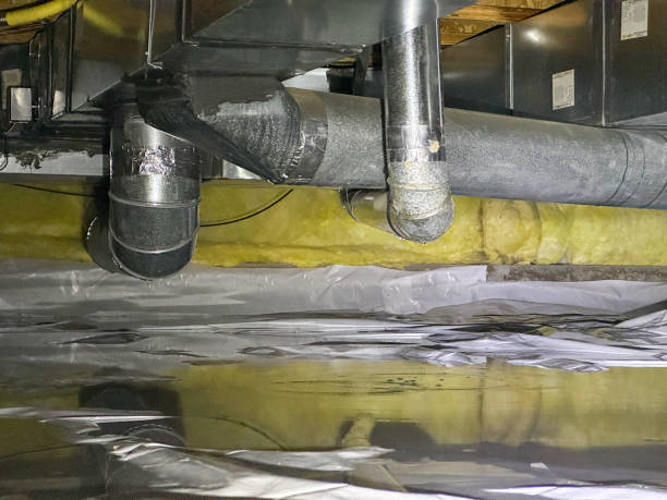 Best Water damage contractors near me  in Temelec, CA