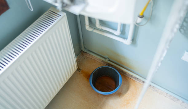Best Carpet water damage restoration  in Temelec, CA