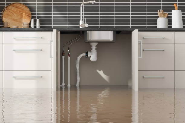 Best Flood damage cleanup  in Temelec, CA