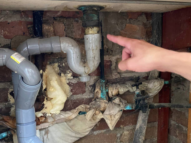 Best Water damage restoration near me  in Temelec, CA