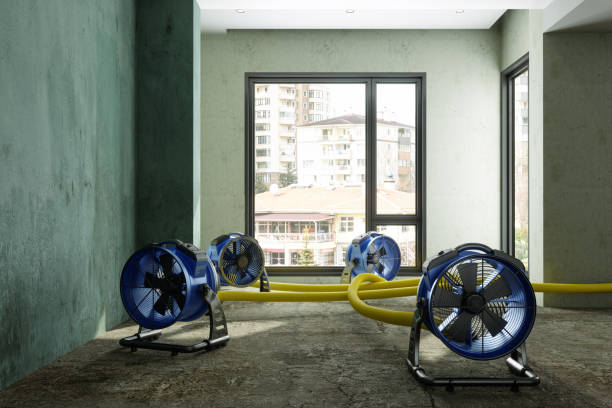 Best Residential water damage restoration  in Temelec, CA